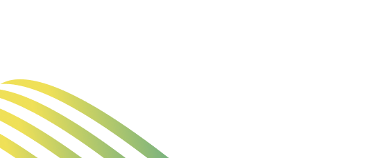 Vision Driven Marketing